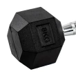 Par Halteres 8kg + 8kg Dumbbell Sextavado Emborrachado Pegada Cromada Gallant (GDB08F3B-PT)